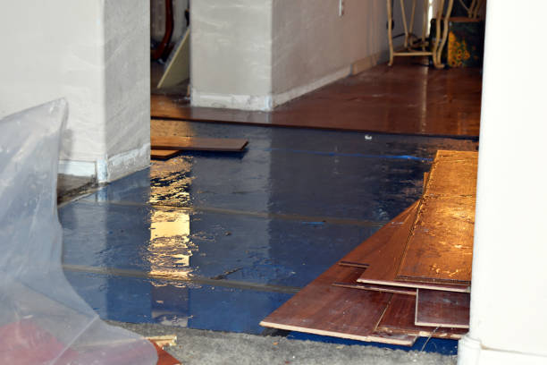 Professional Burst Pipe Cleanup technician working in Lincroft, NJ